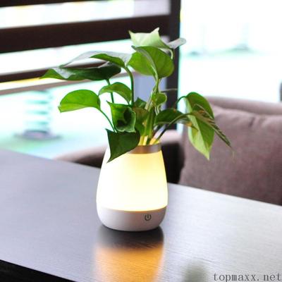 觸摸調(diào)光花瓶燈充電臺(tái)燈